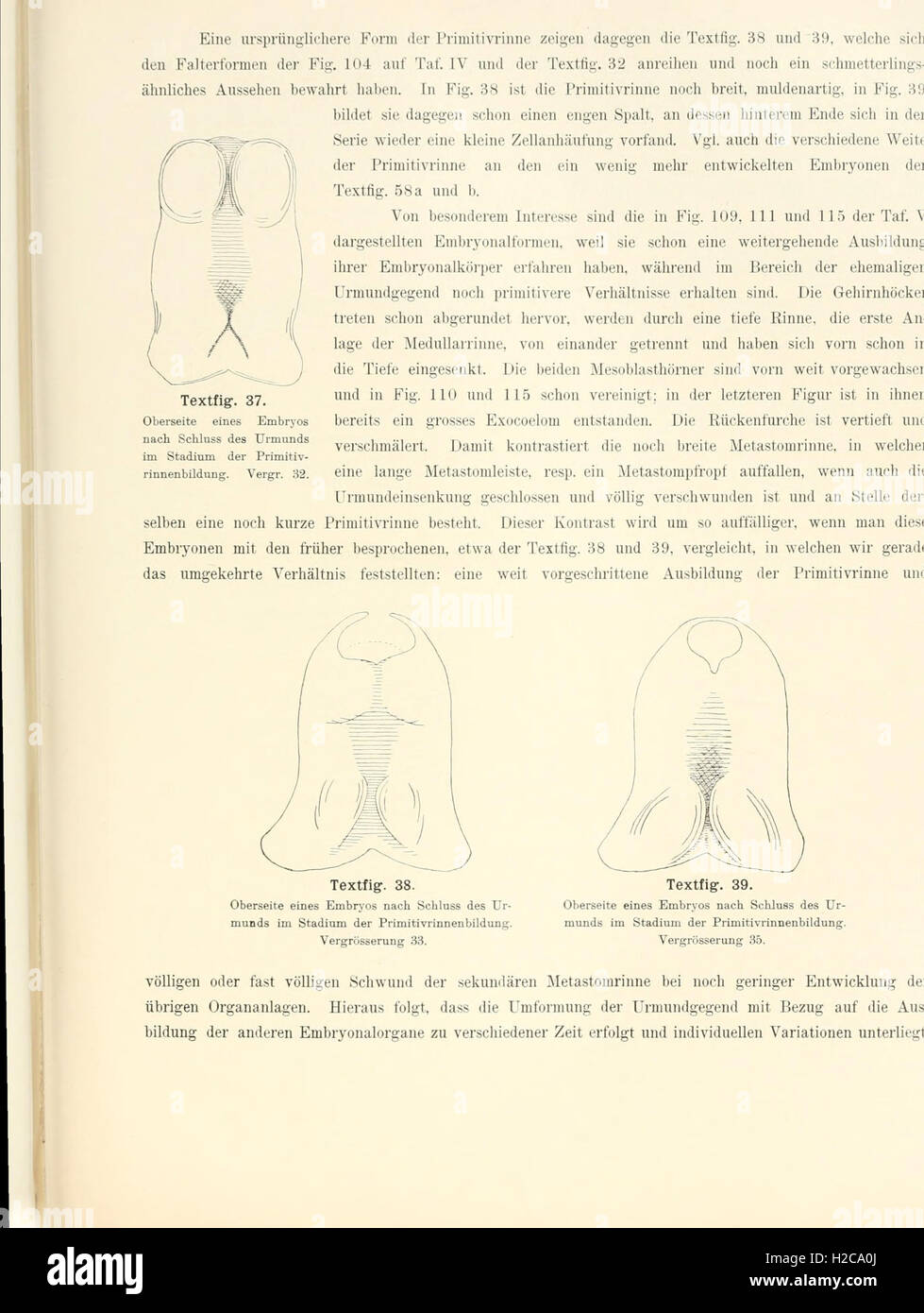 This work covers the developmental history of the European adder ...