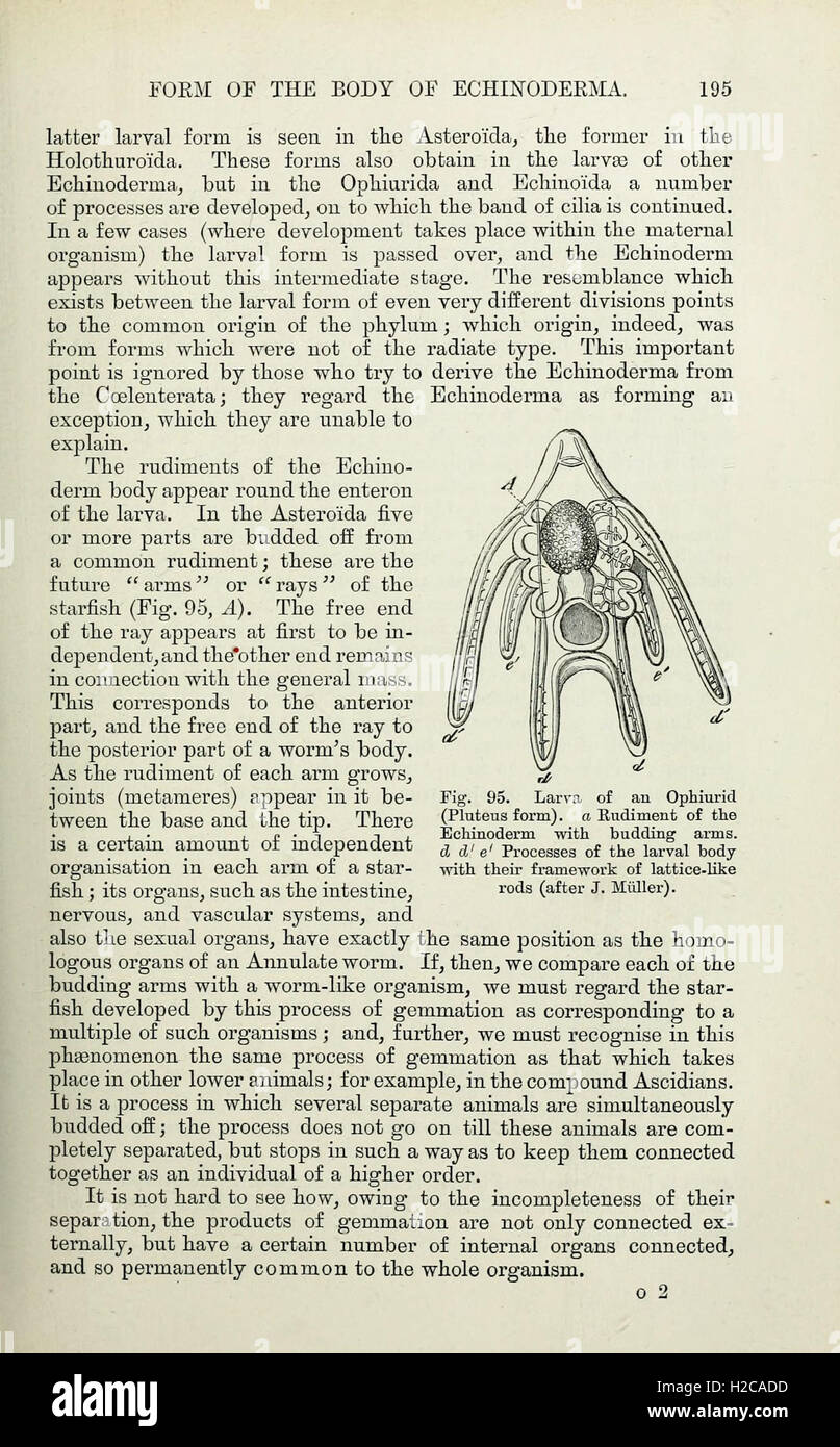 'Elements of Comparative Anatomy' focuses on the study of anatomical ...