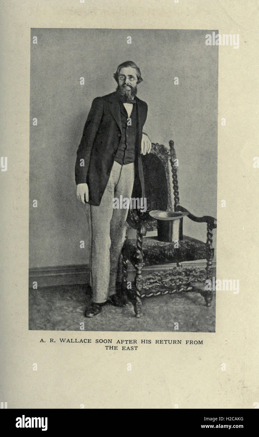 Alfred Russel Wallace Stock Photo