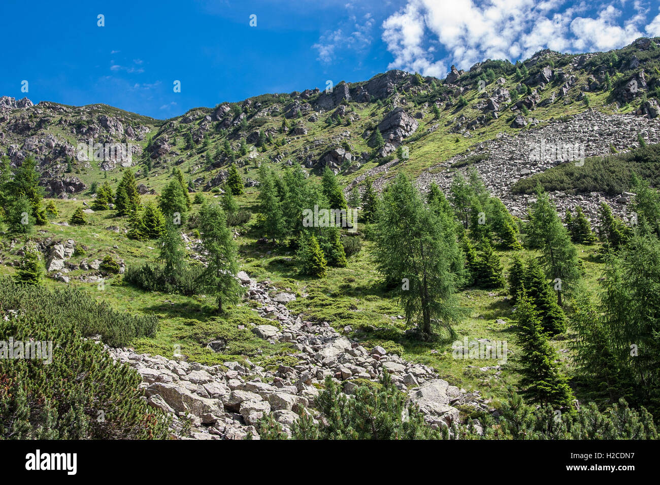 Trentino Alto Adige Italy Lagorai massif Stock Photo