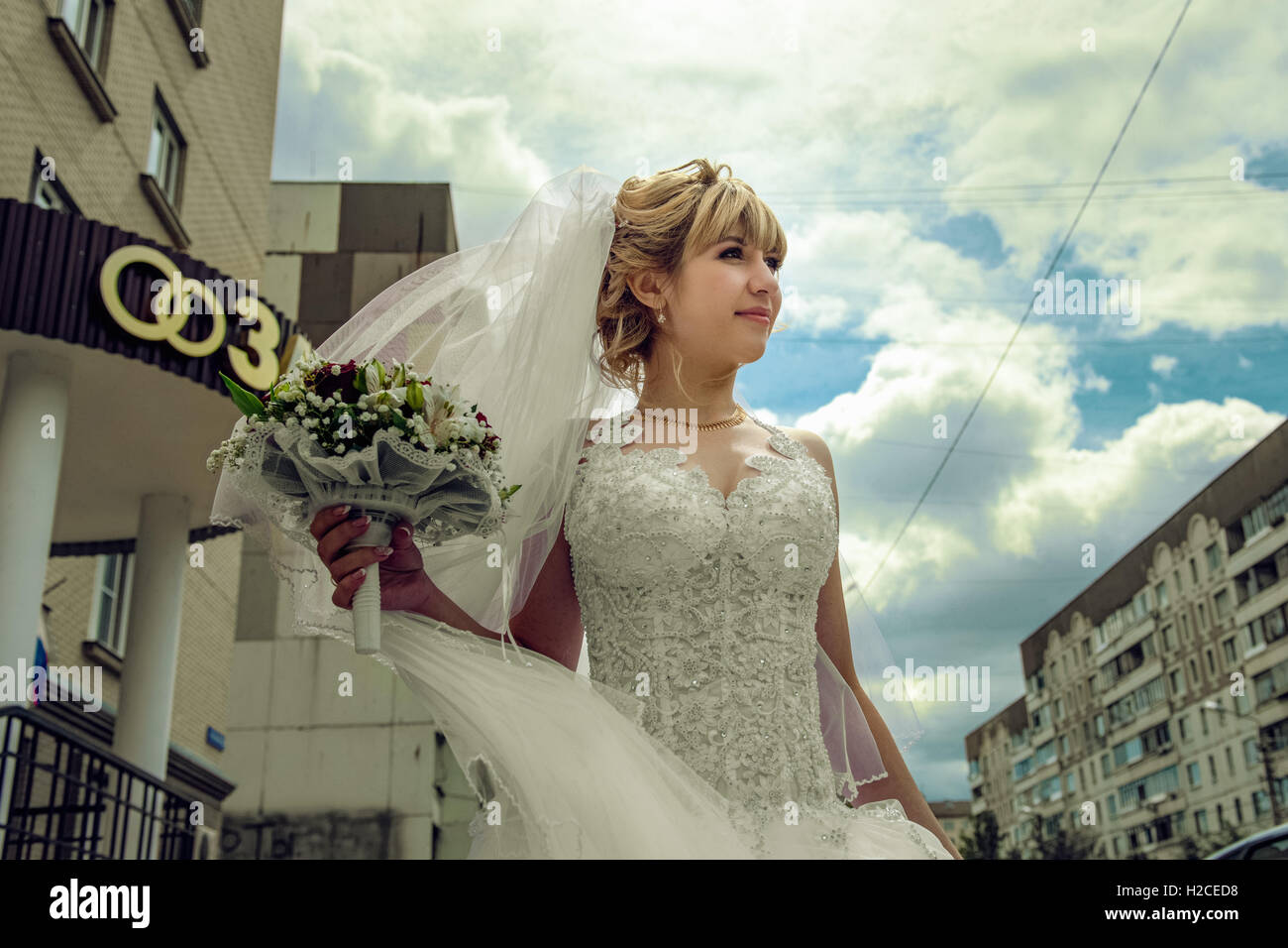 Portrait of the bride Stock Photo - Alamy