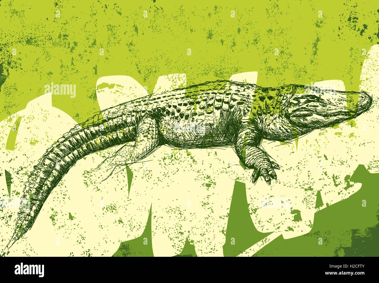 Alligator texture background An American alligator over an abstract