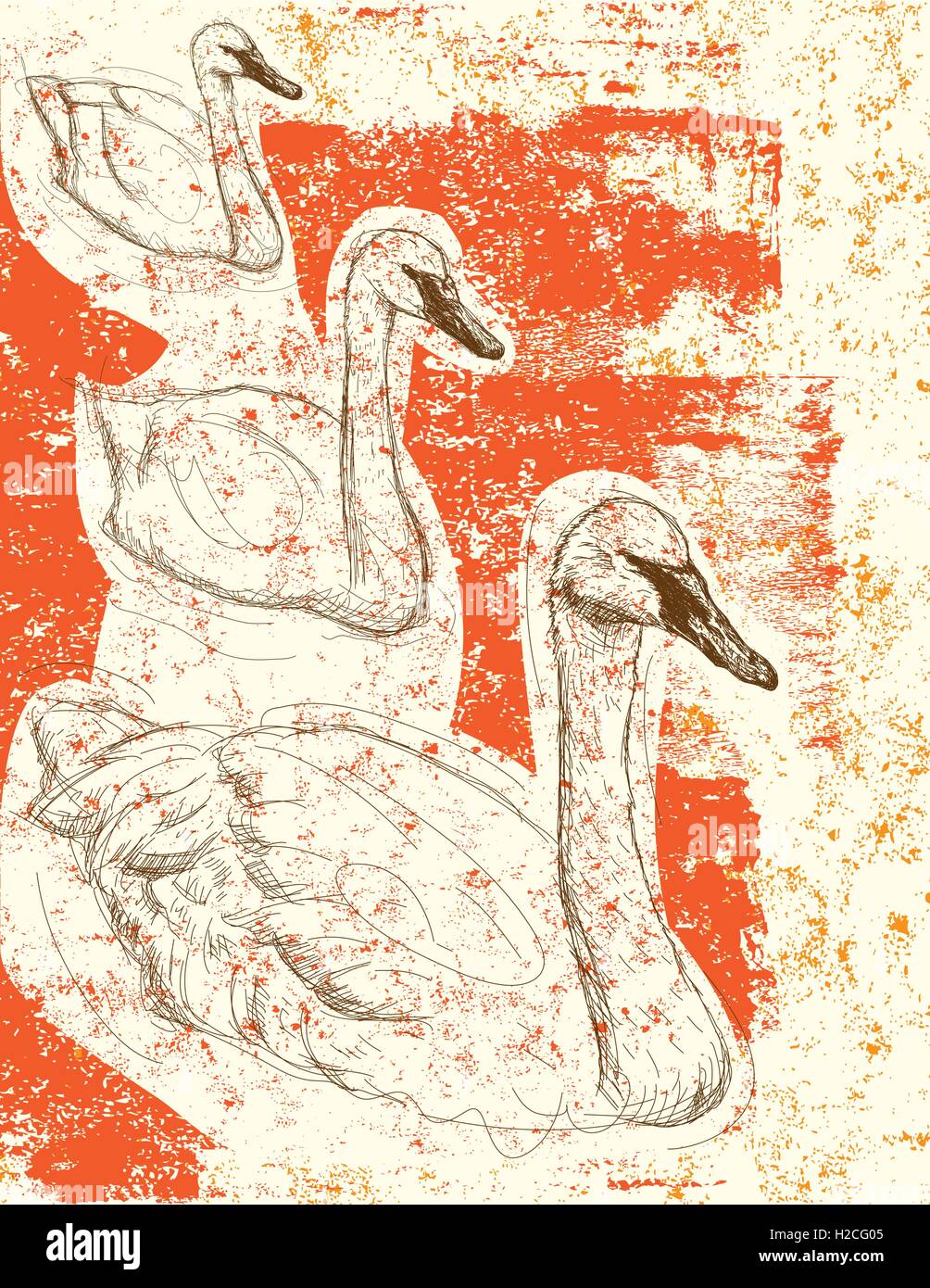 Swan background Sketchy swans over an abstract background. The birds and background are on separately labeled layers. Stock Vector