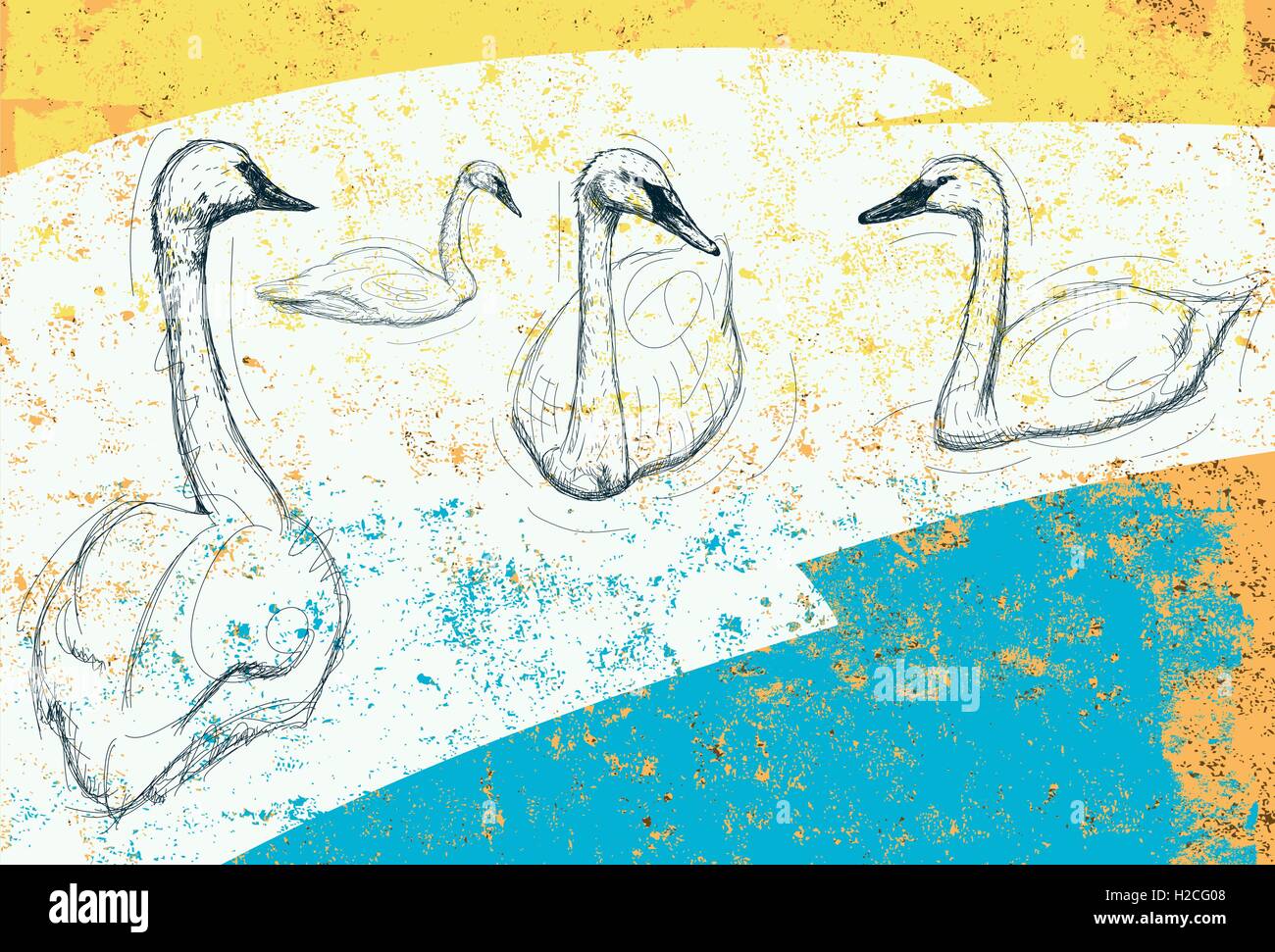 Swans Sketchy swans over an abstract background. The birds and background are on separately labeled layers. Stock Vector