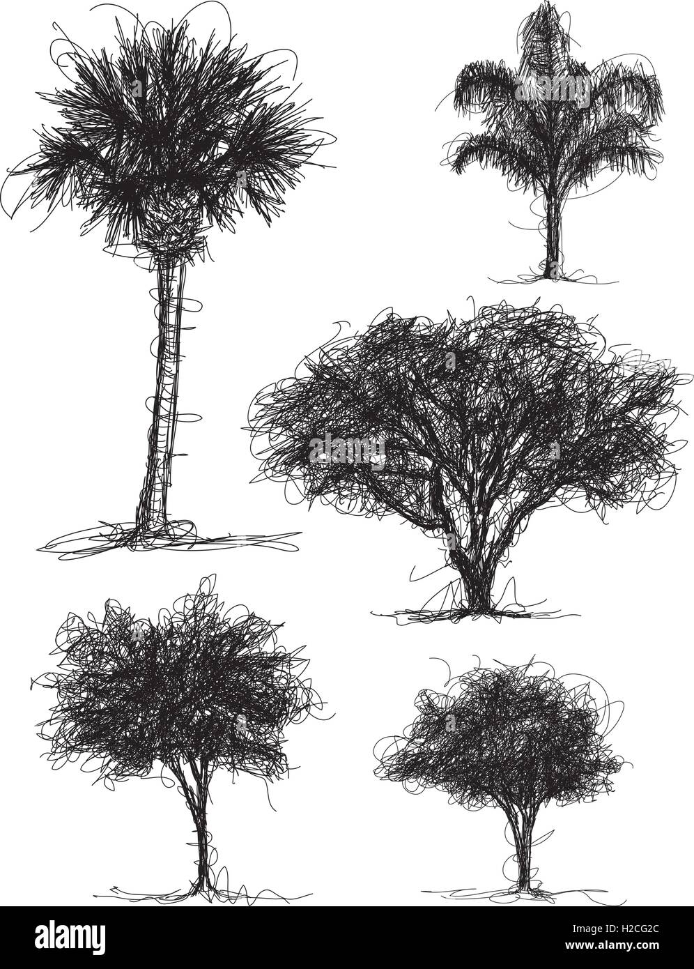 Tree Scribbles Palm tree, queen palm, oak tree, and other tree sketches Stock Vector