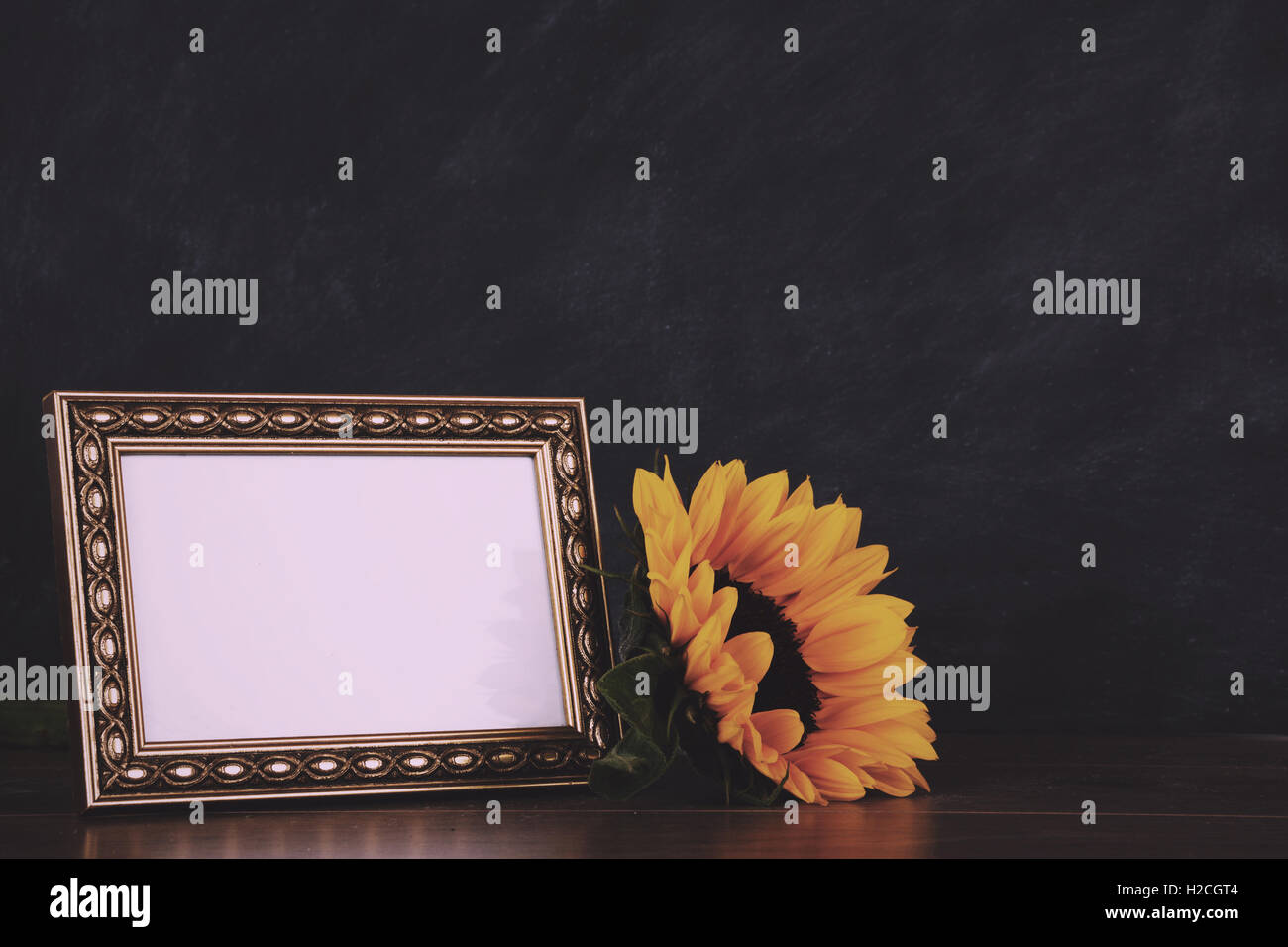 Old picture frame and sunflower against a dirty blackboard background Vintage Retro Filter. Stock Photo