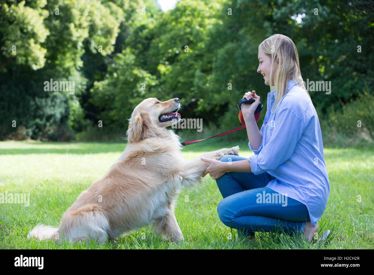 Woman Taking Golden Retriever For Walk In Countryside Stock Photo