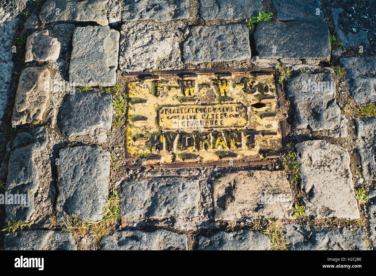 Hydrant in a cobbled footpath Stock Photo