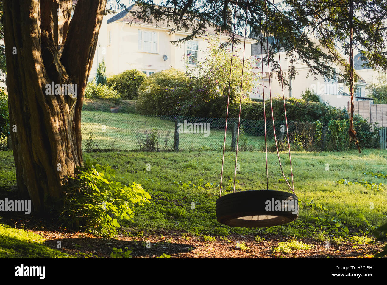 Early morning sun on a garden with a tyre swing, Stock Photo