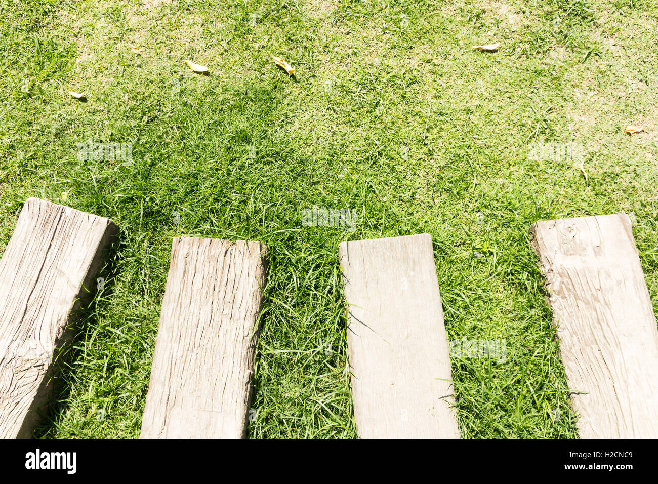 Stone footpath in lawn field. Stock Photo