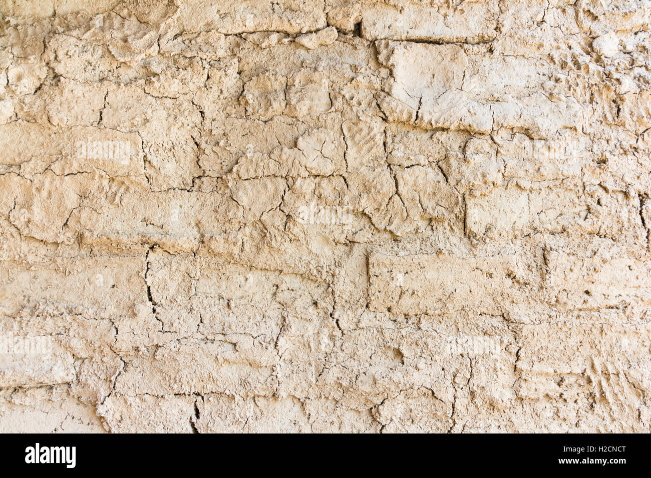 Dry cracked dirt texture background Stock Photo