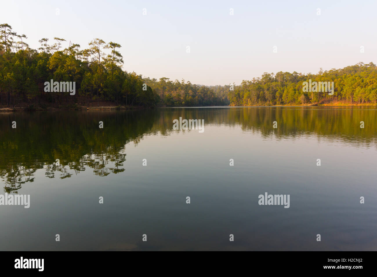 Beautiful forest by lake hi-res stock photography and images - Alamy