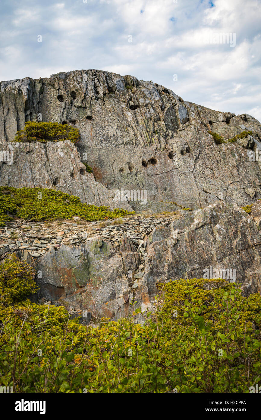 The Devil s Footprints Near Keels Newfoundland And Labrador Canada 