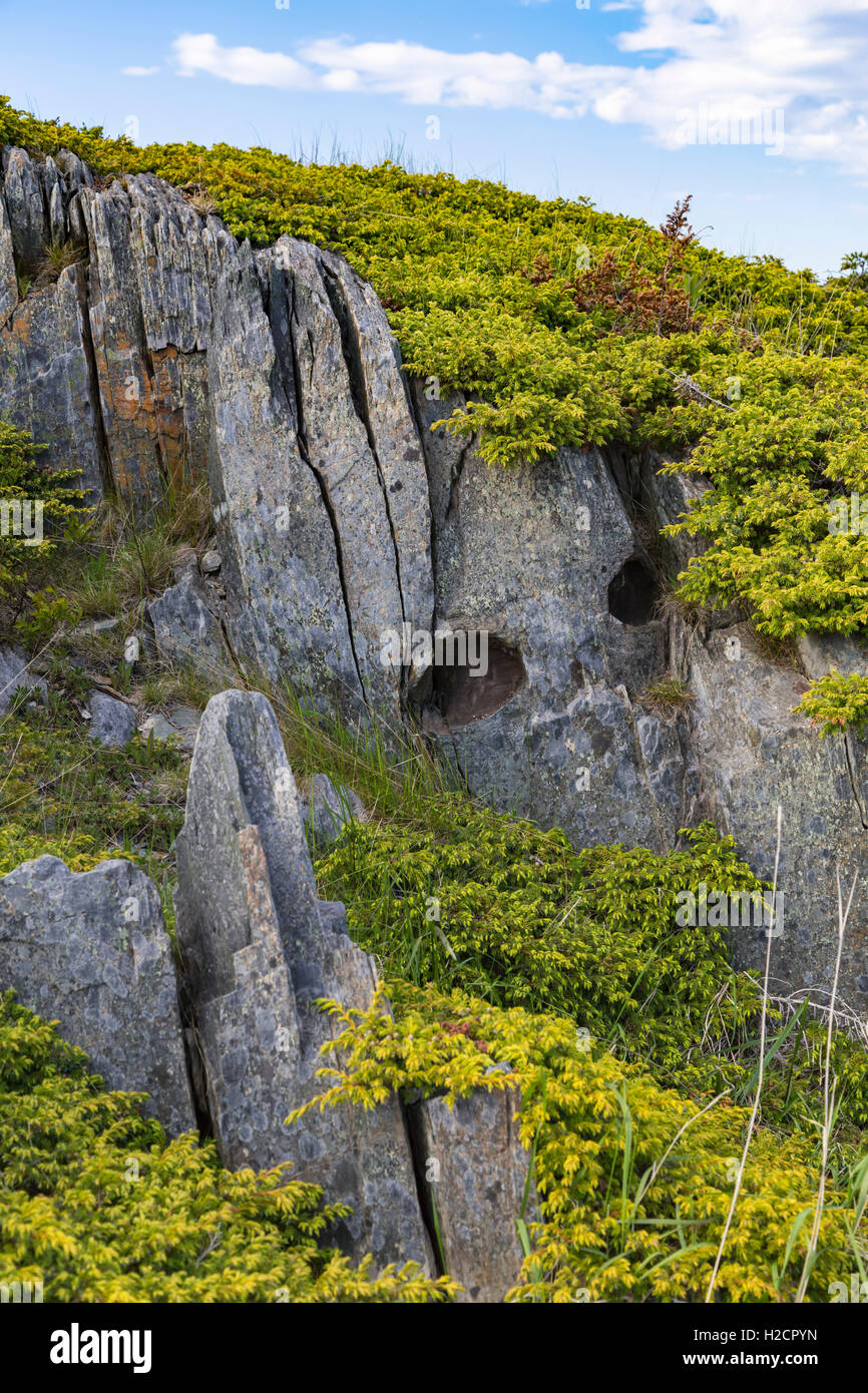 The Devil s Footprints Near Keels Newfoundland And Labrador Canada 