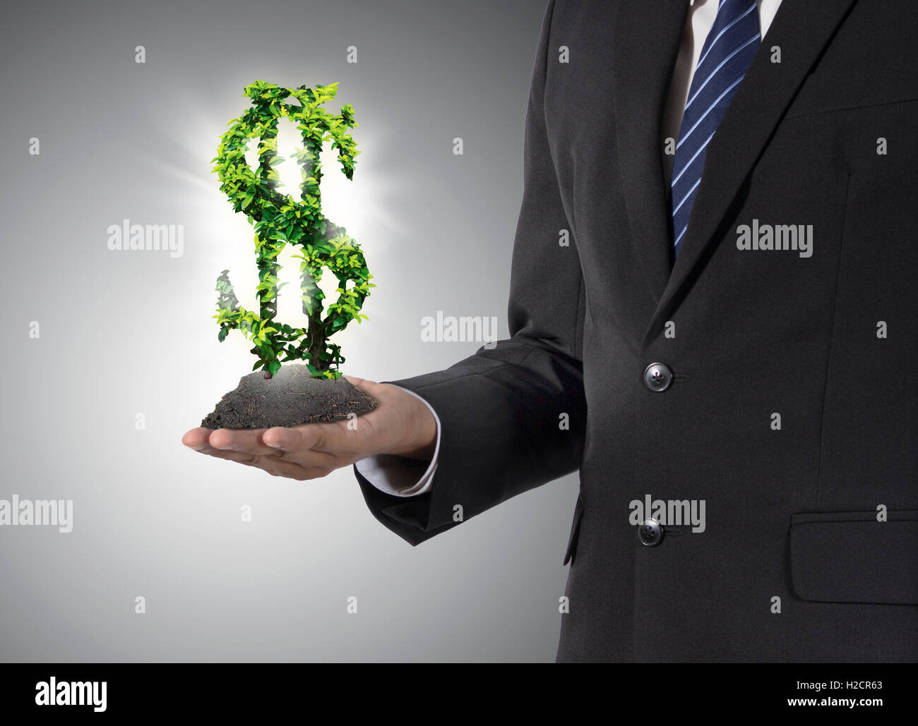 businessman hold a tree with US dollar sign Stock Photo - Alamy