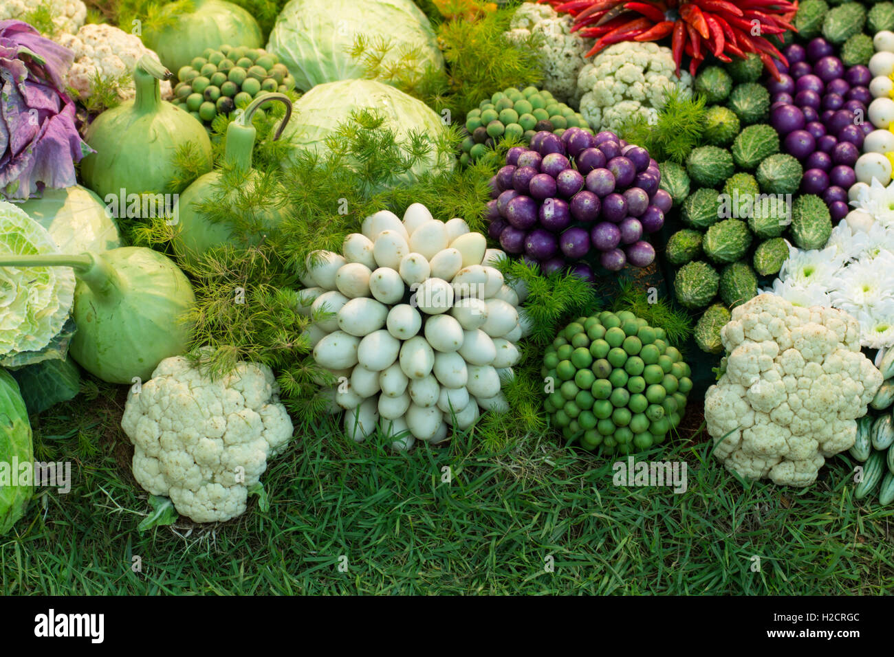 Group of herb fruit and vegetable ingredients for cooking Stock Photo