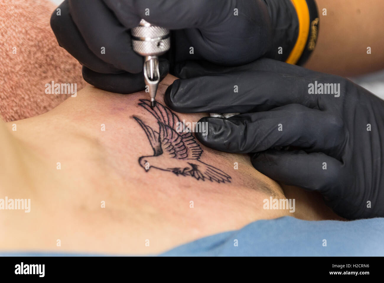 The Anatomy of a Tattoo Gun: Precision Technology Unveiled – Tatvida