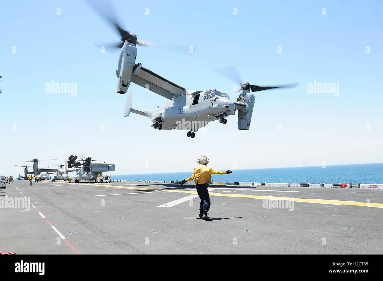 A U.S. Navy aviation boatswains mate signals a U.S. Marine MV-22 Osprey assault support aircraft on the flight deck of the USN Wasp-class amphibious assault ship USS Boxer July 11, 2016 in the Arabian Gulf. Stock Photo