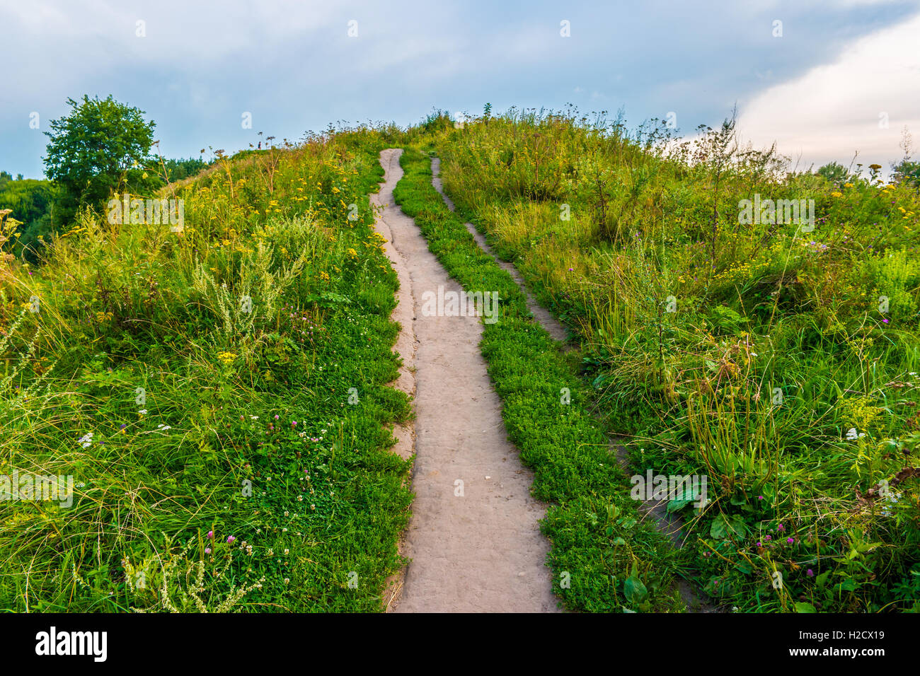 pathway-on-a-hill-with-wildflowers-stock-photo-alamy