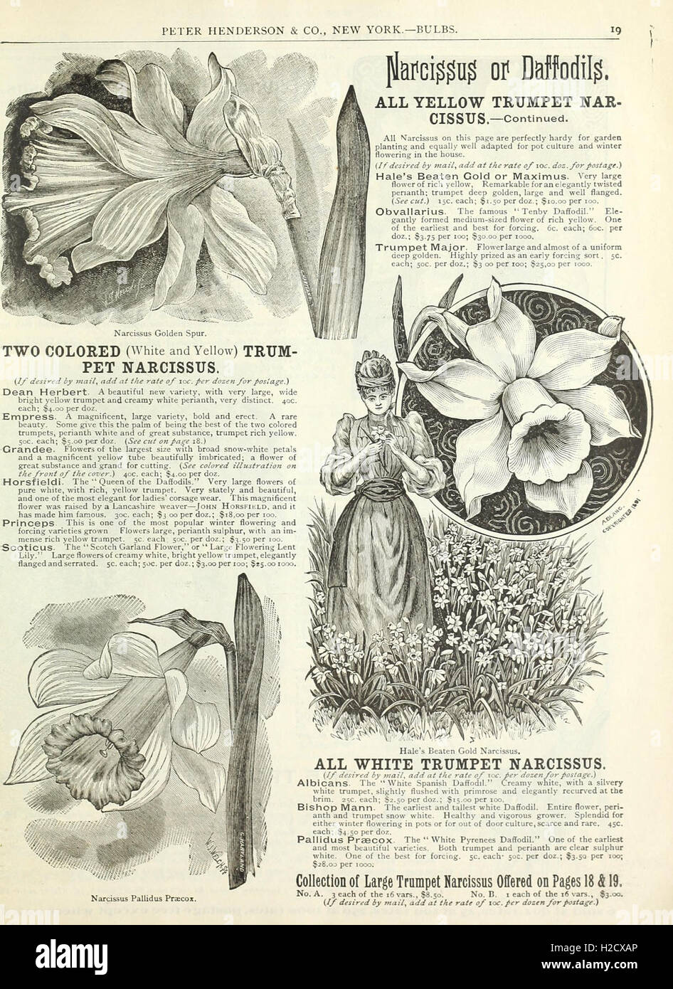 1892 (Page 19) Stock Photo