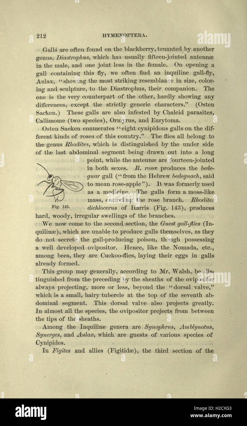 This guide serves as an introduction to the study of insects, detailing