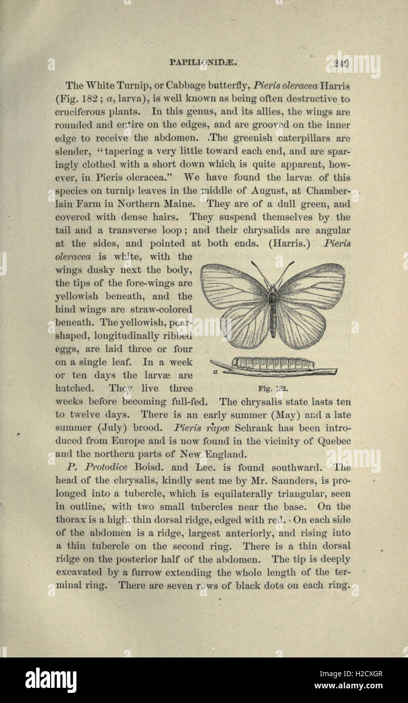 This guide offers a comprehensive overview of insect study, from ...