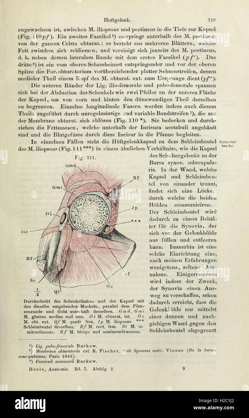 This manual focuses on human systematic anatomy, detailing the ...