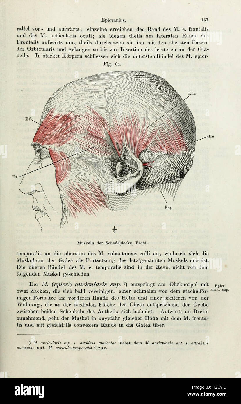 This comprehensive work details the systematic anatomy of the human ...