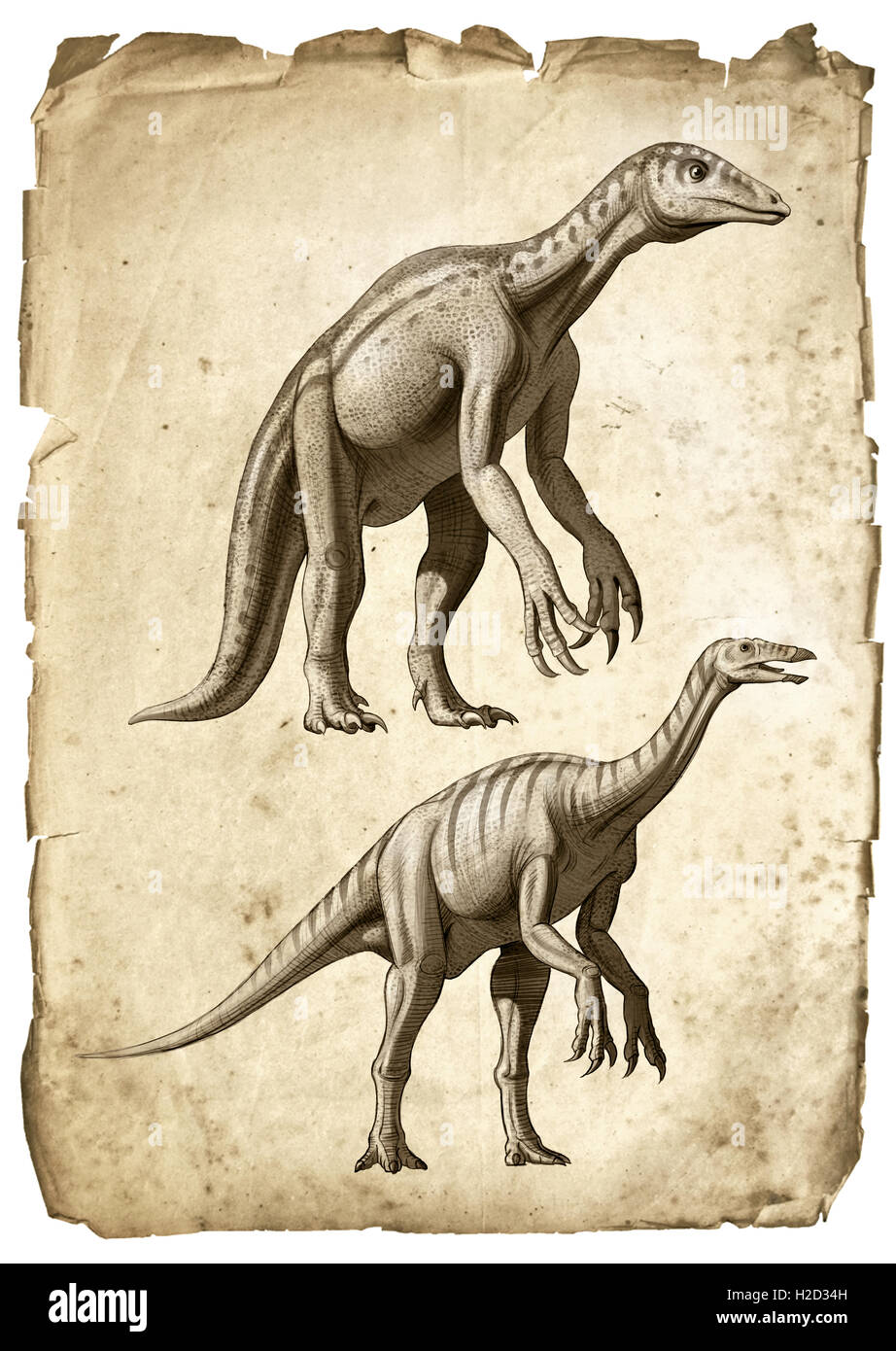 Two old imagination of Deinocheirus Stock Photo