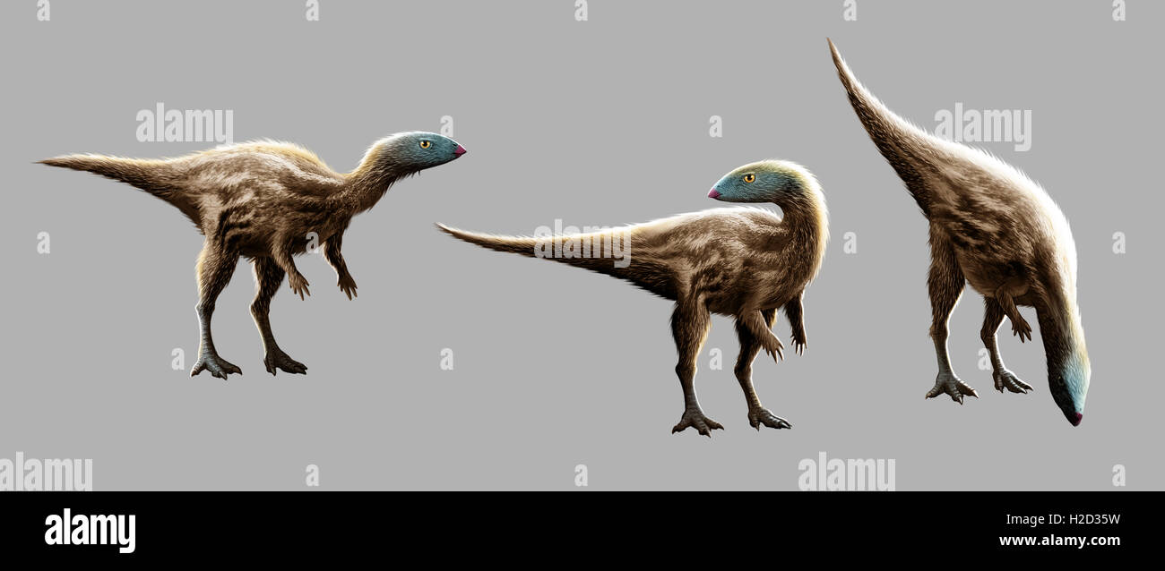 Gasparinisaura is a genus of herbivorous ornithopod dinosaur from the Late Cretaceous Stock Photo