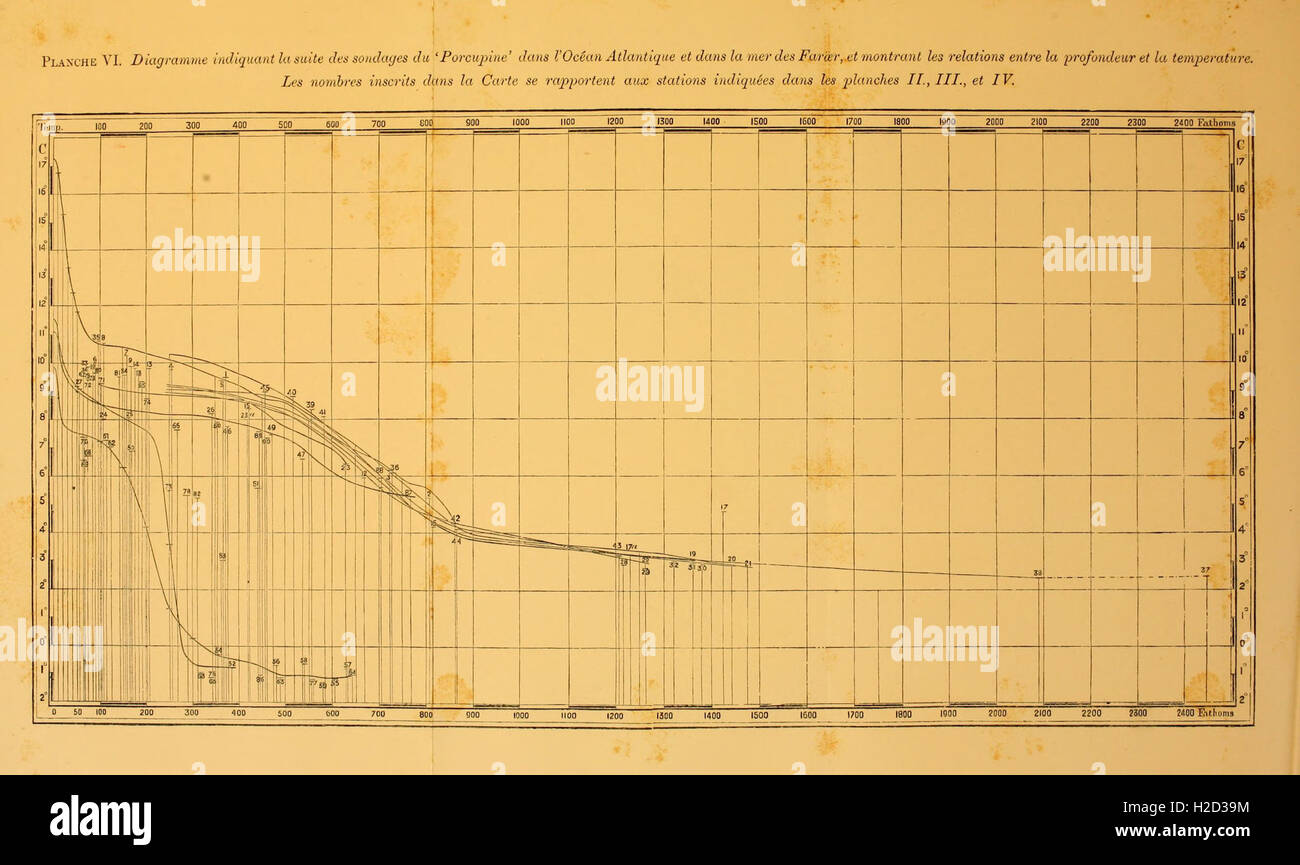 A detailed illustration or description of the depths of the sea ...