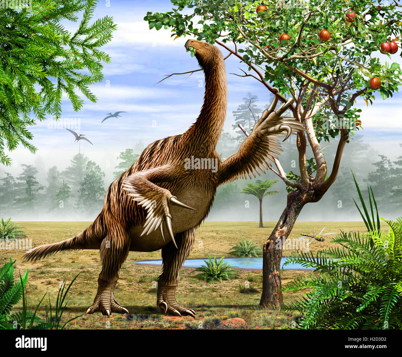 Nothronychus is a genus of theropod dinosaur classified in the group Therizinosauria, from the Cretaceous of North America Stock Photo