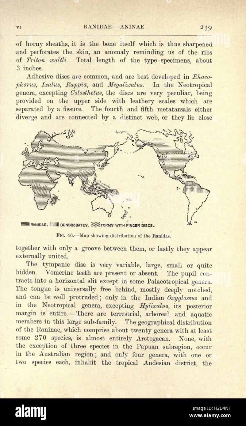 Page 239 of 'Amphibia and Reptiles' presents an illustration and ...