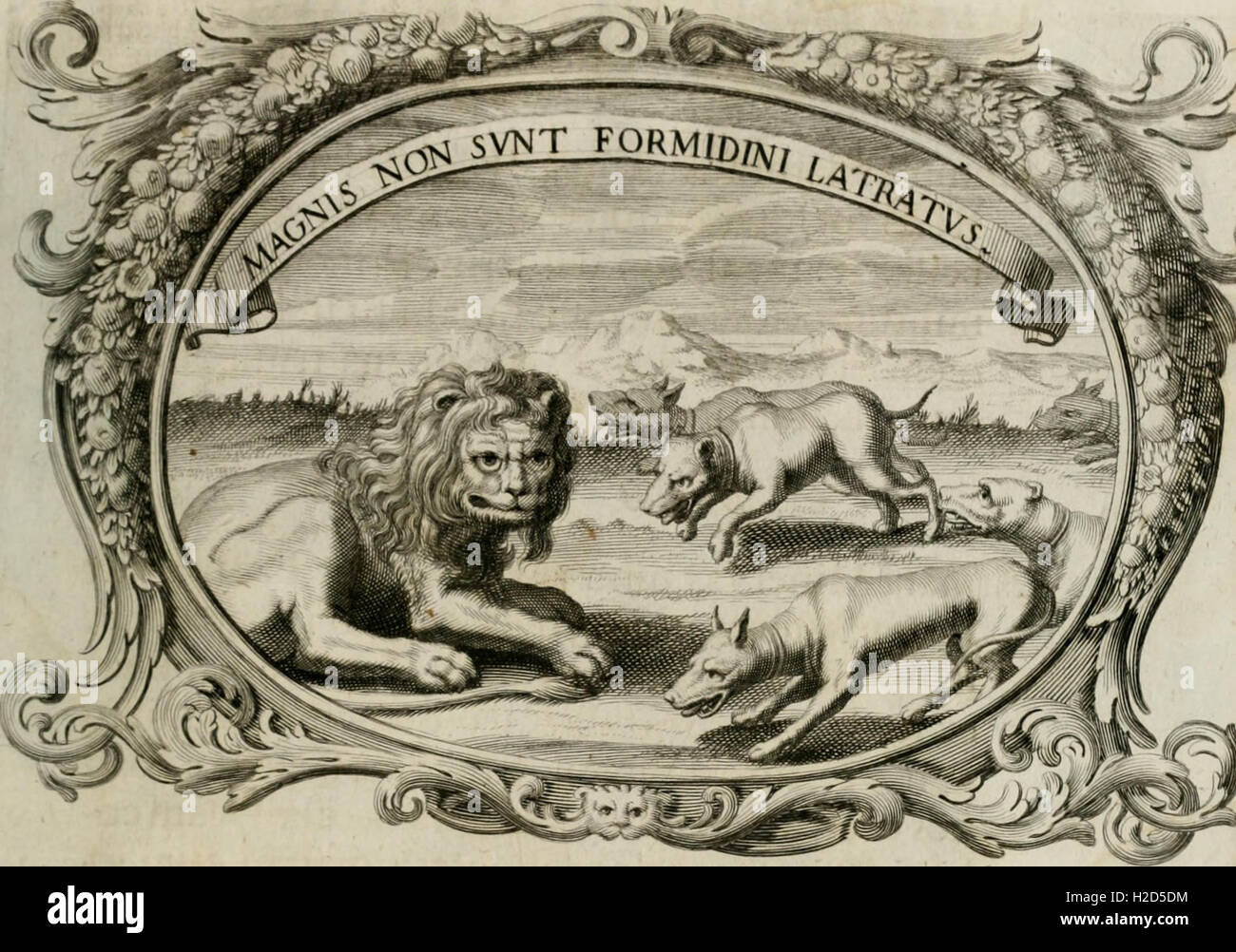 Monumentum extremi honoris perennis virtutis piis manibus serenissimi