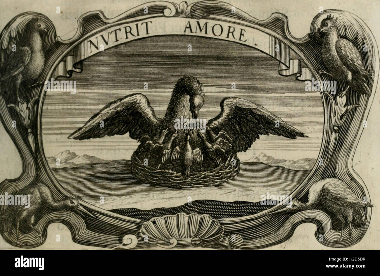 Monumentum extremi honoris perennis virtutis piis manibus serenissimi