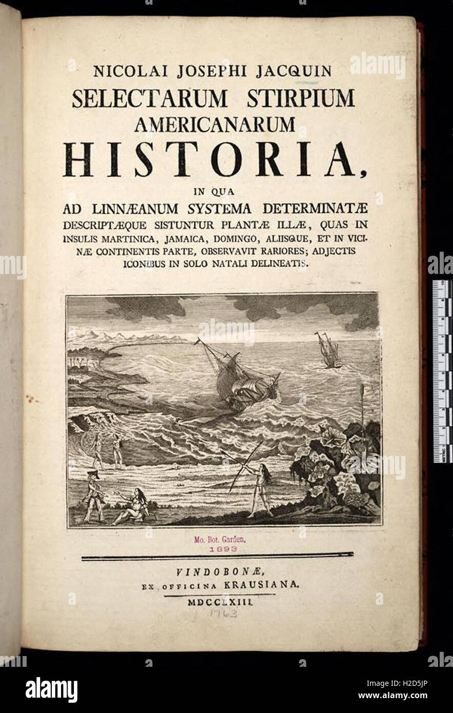 Nicolai Josephi Jacquin Selectarum stirpium Americanarum histori Stock Photo