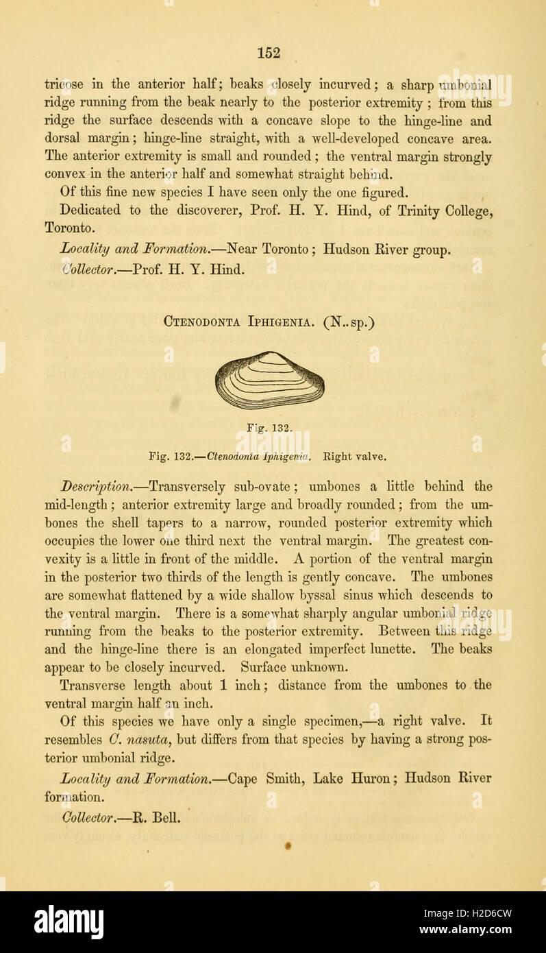 A study of fossils from the Paleozoic era, detailing species from early ...