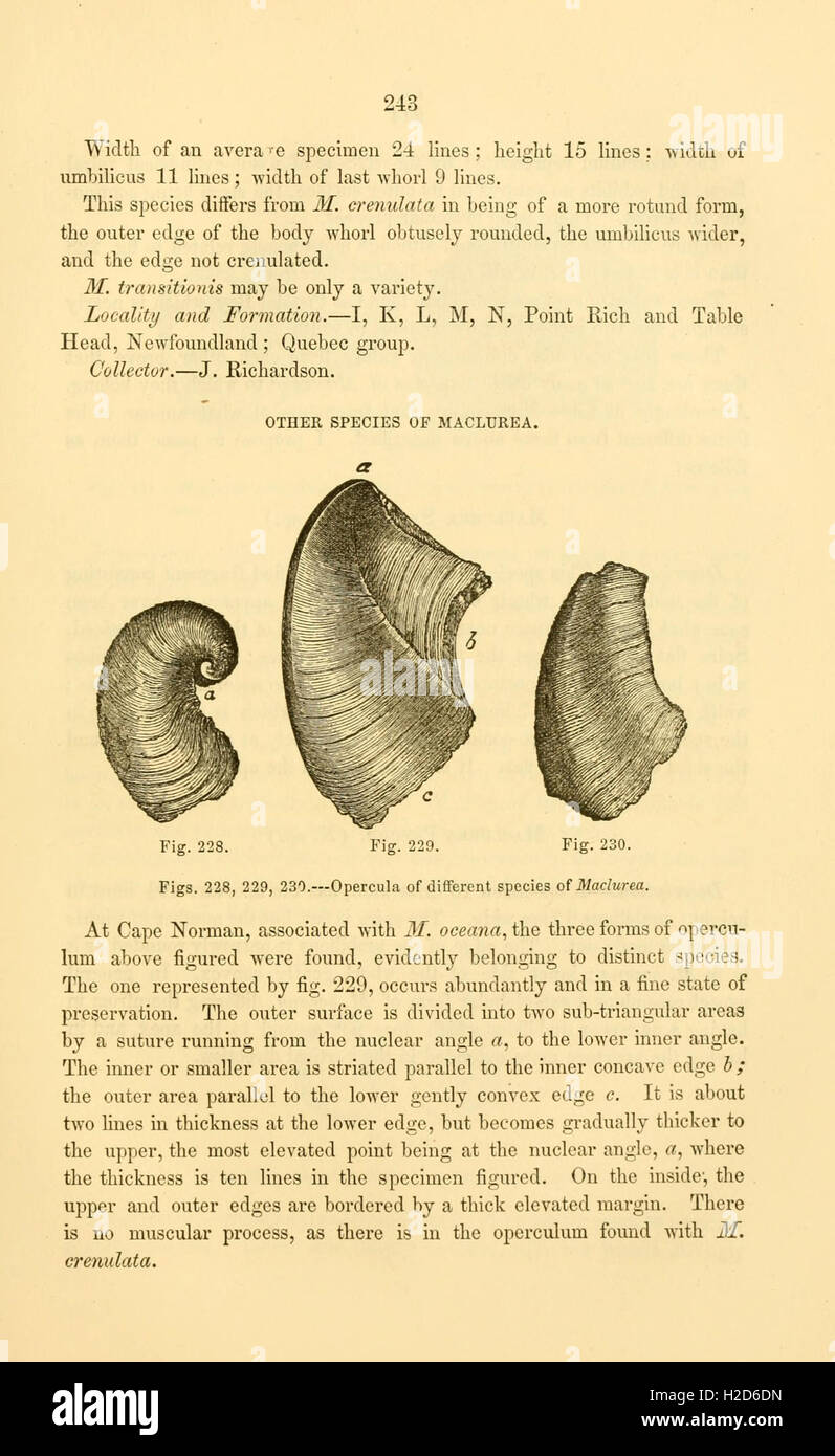 A scientific study of fossils from the Paleozoic era, examining the ...