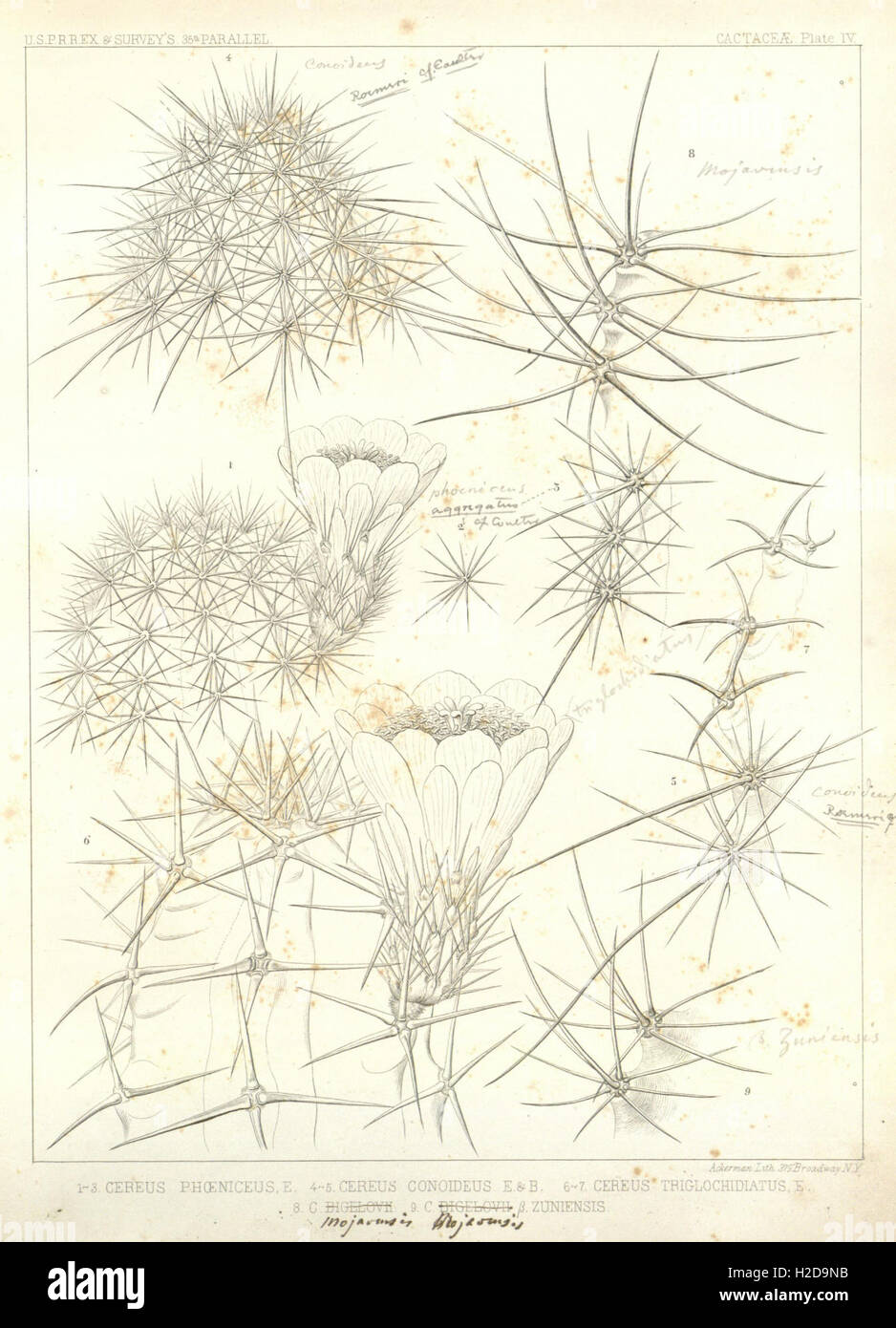 Route of the 35th parallel hi-res stock photography and images - Alamy