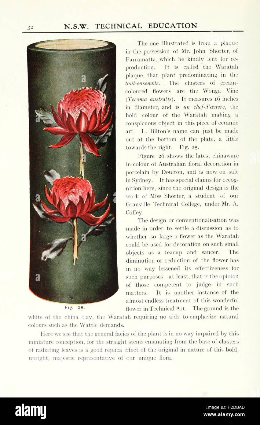 Printed Flora Example This text explores the use of Australian flora in applied art. Page 32 ...