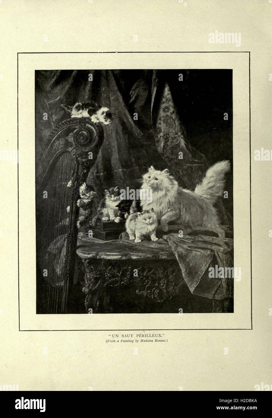 A comprehensive guide to the domestic cat, exploring its history ...