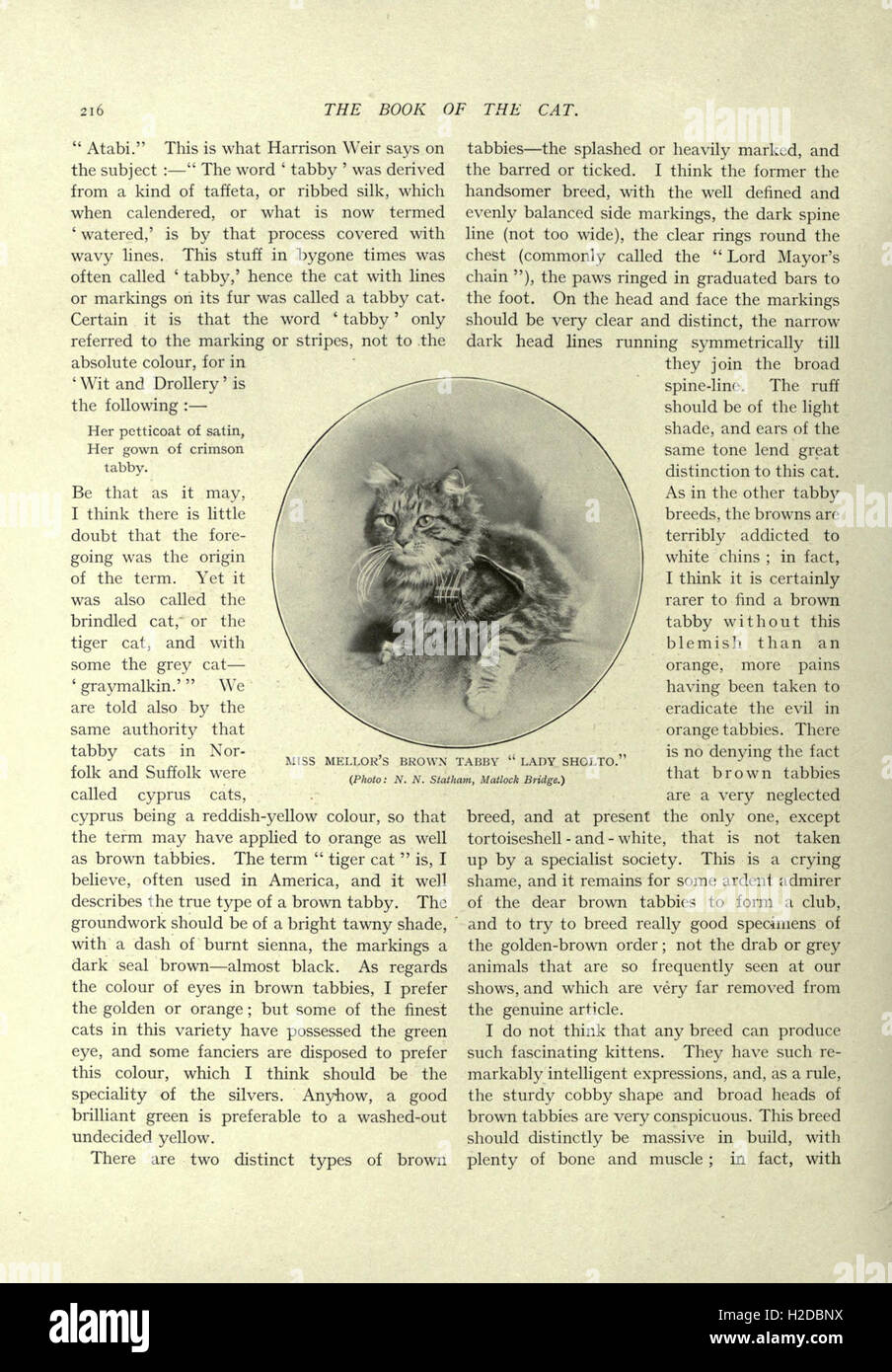 The book of the cat stock photo alamy