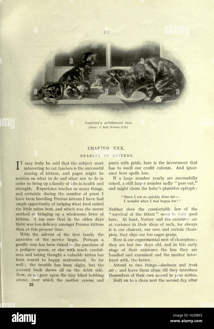 An illustrated guide detailing various cat breeds, their ...