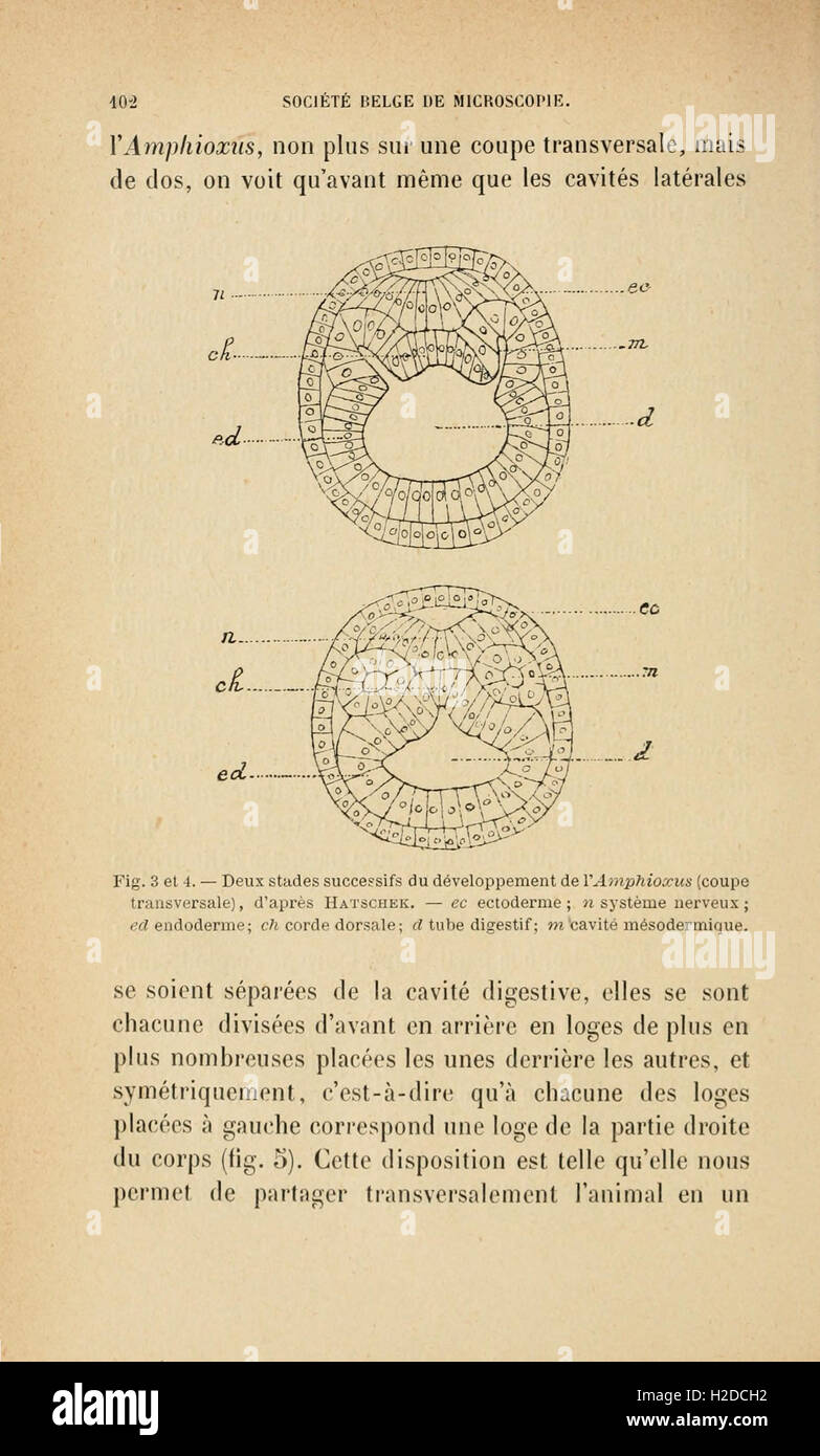 Annales de la Société belge de microscopie (Page 102) Stock Photo
