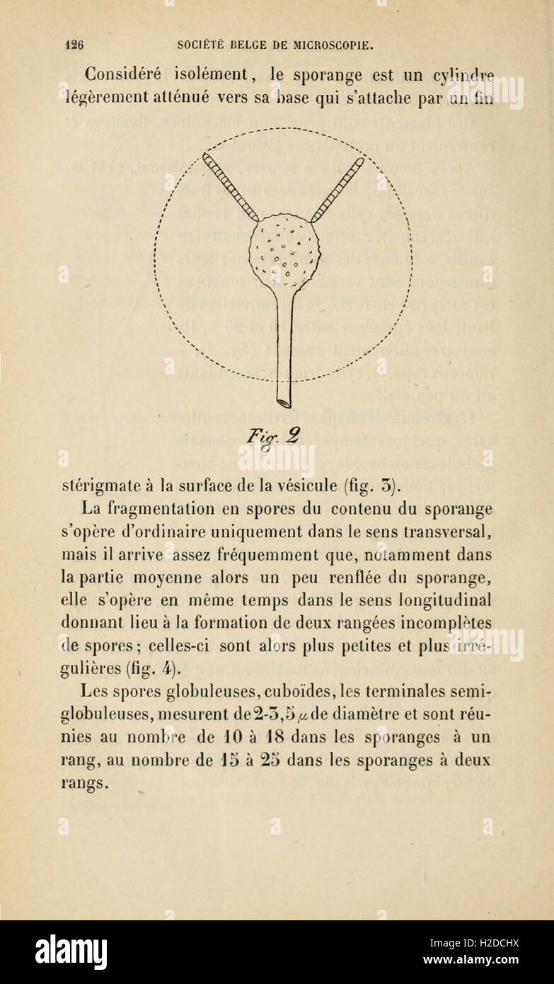 Annales de la Société belge de microscopie (Page 126) Stock Photo