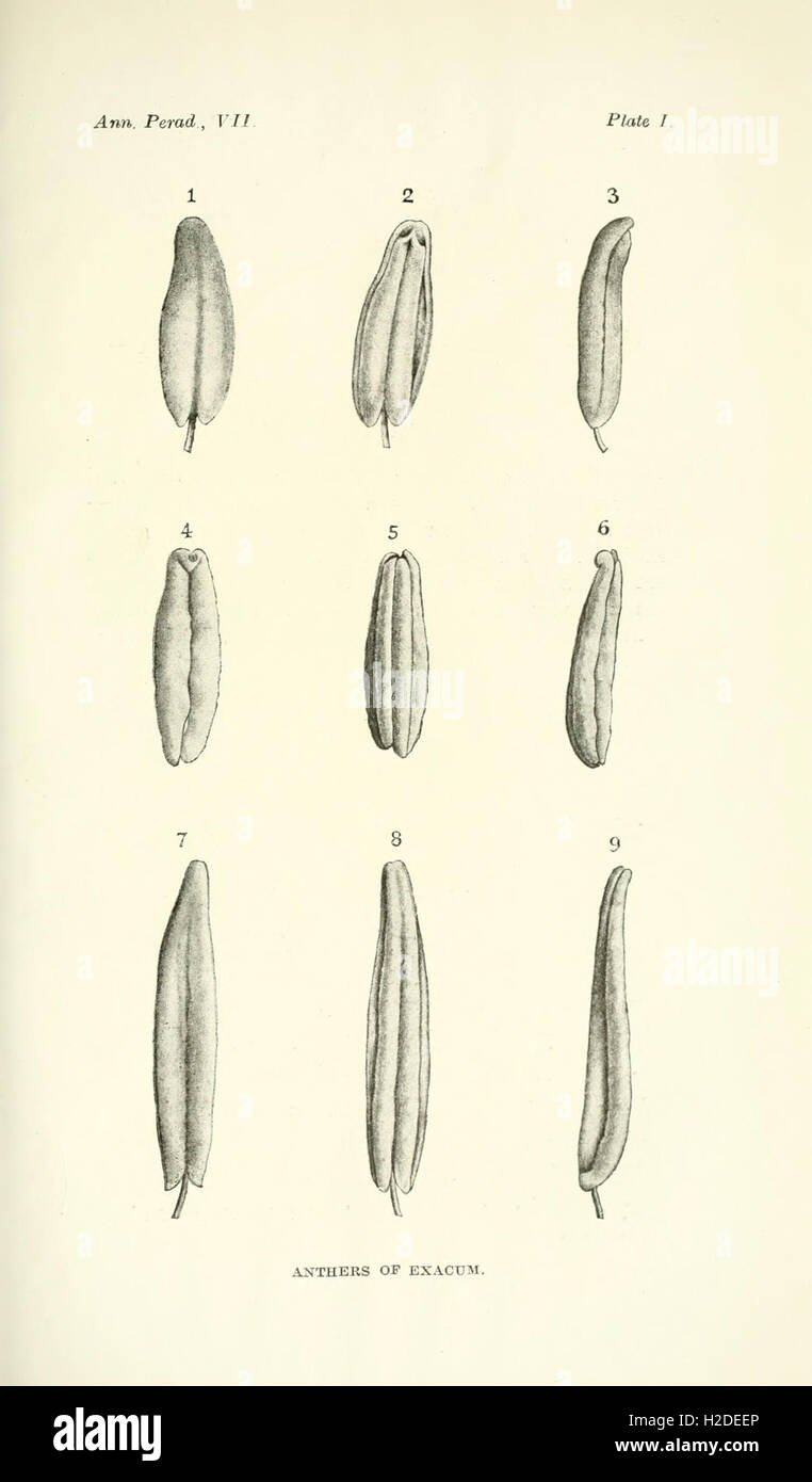 Annals of the Royal Botanic Gardens, Peradeniya Stock Photo