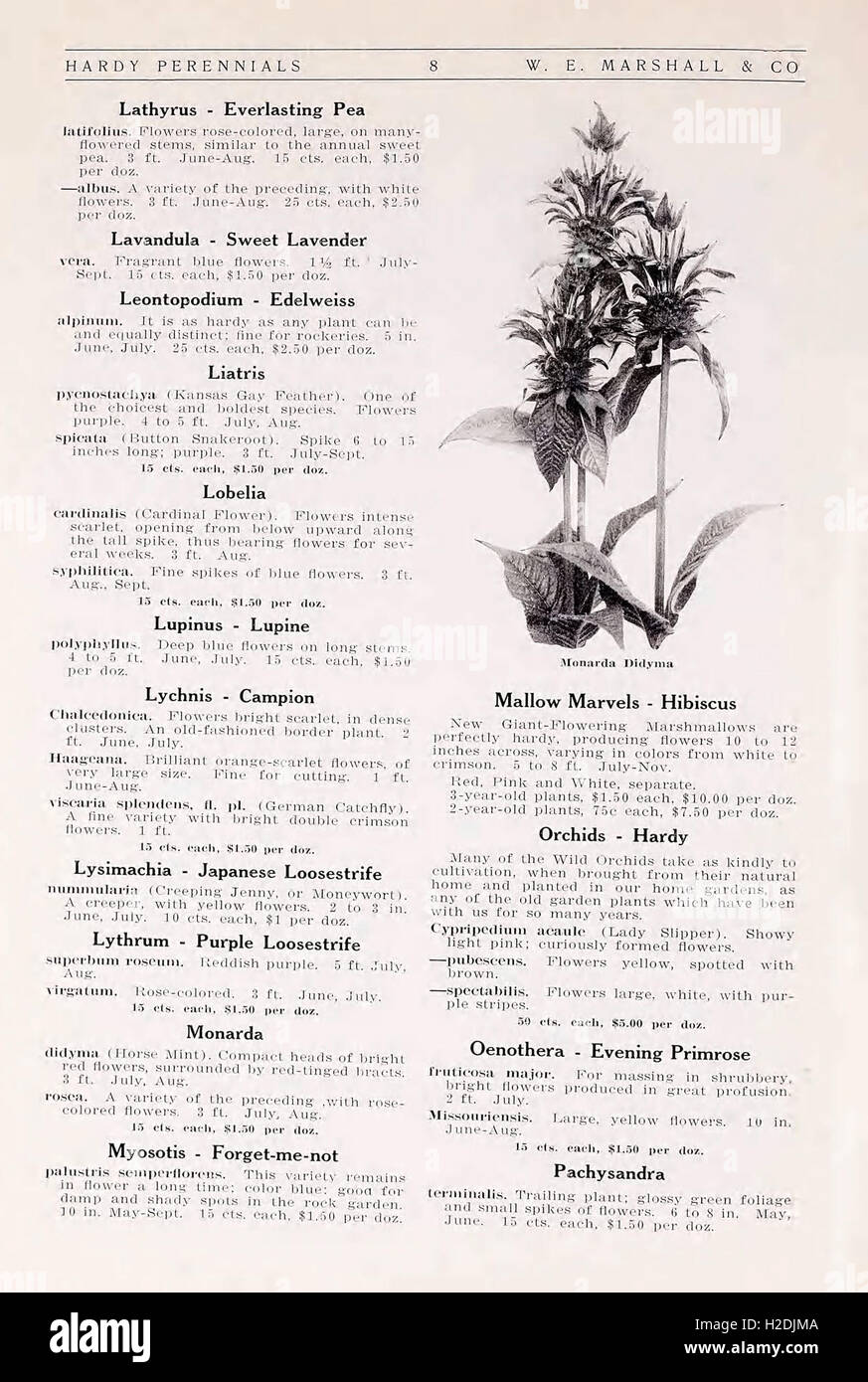 This annual catalogue presents a detailed listing of spring products ...