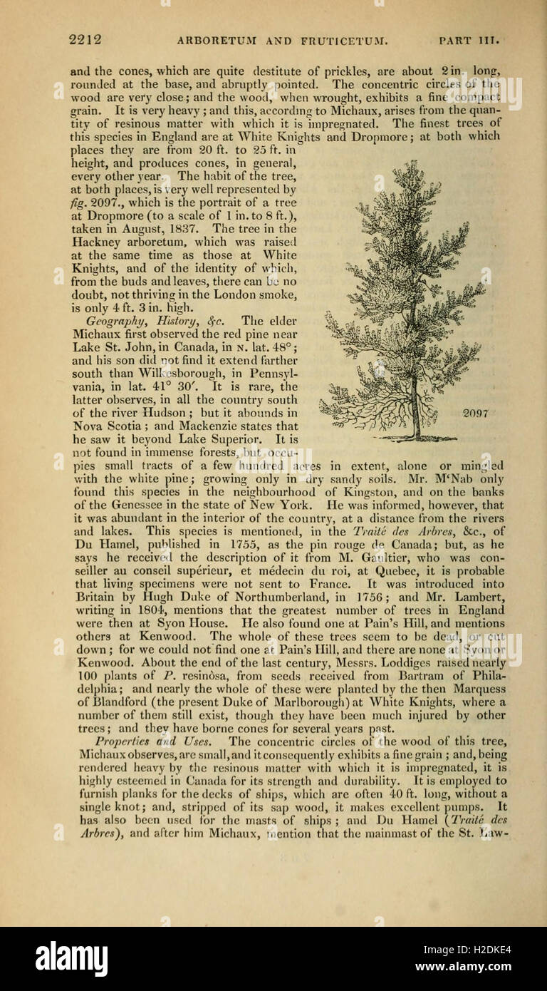 A detailed catalog of British trees and shrubs, featuring descriptions