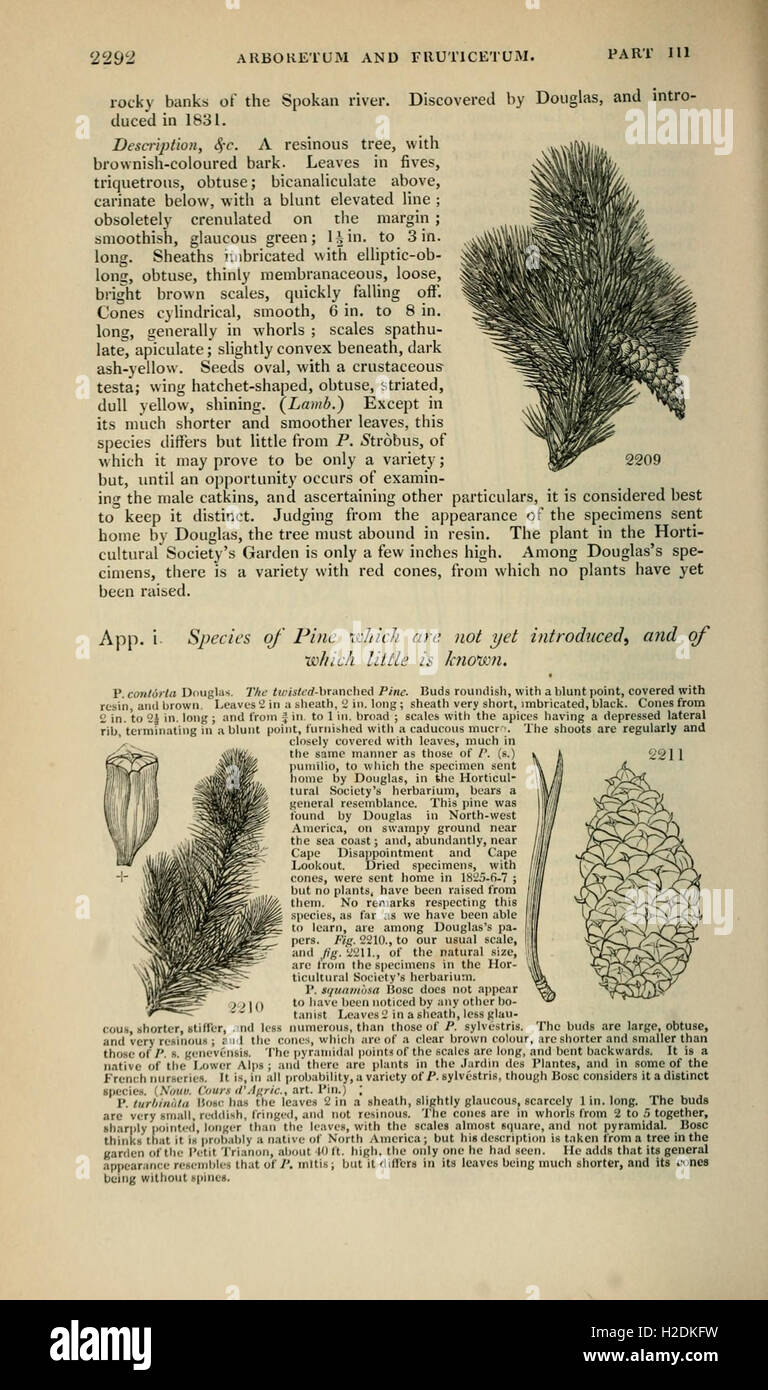 A comprehensive catalog of British arboreta and shrub collections