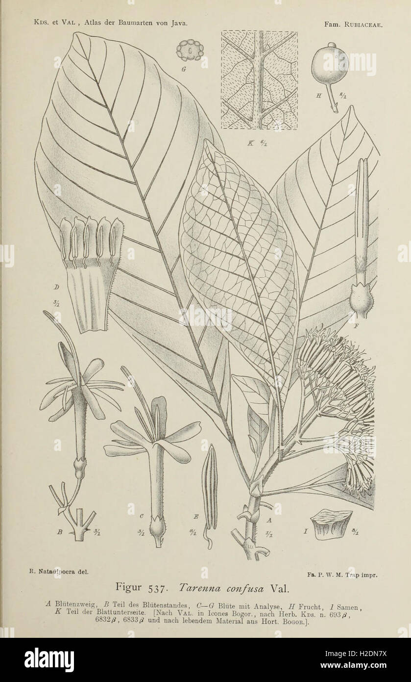 This atlas provides detailed illustrations and descriptions of the tree ...